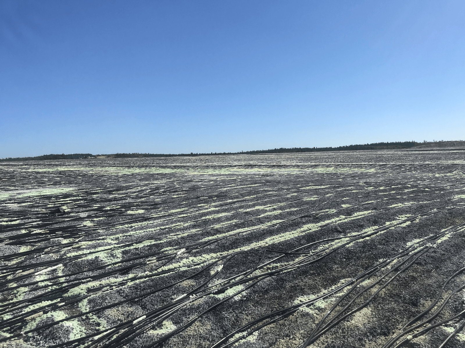 La conversión a Max-Emitter aumenta 18% la extracción de cobre y lleva la nave de electroobtención a 100% de capacidad