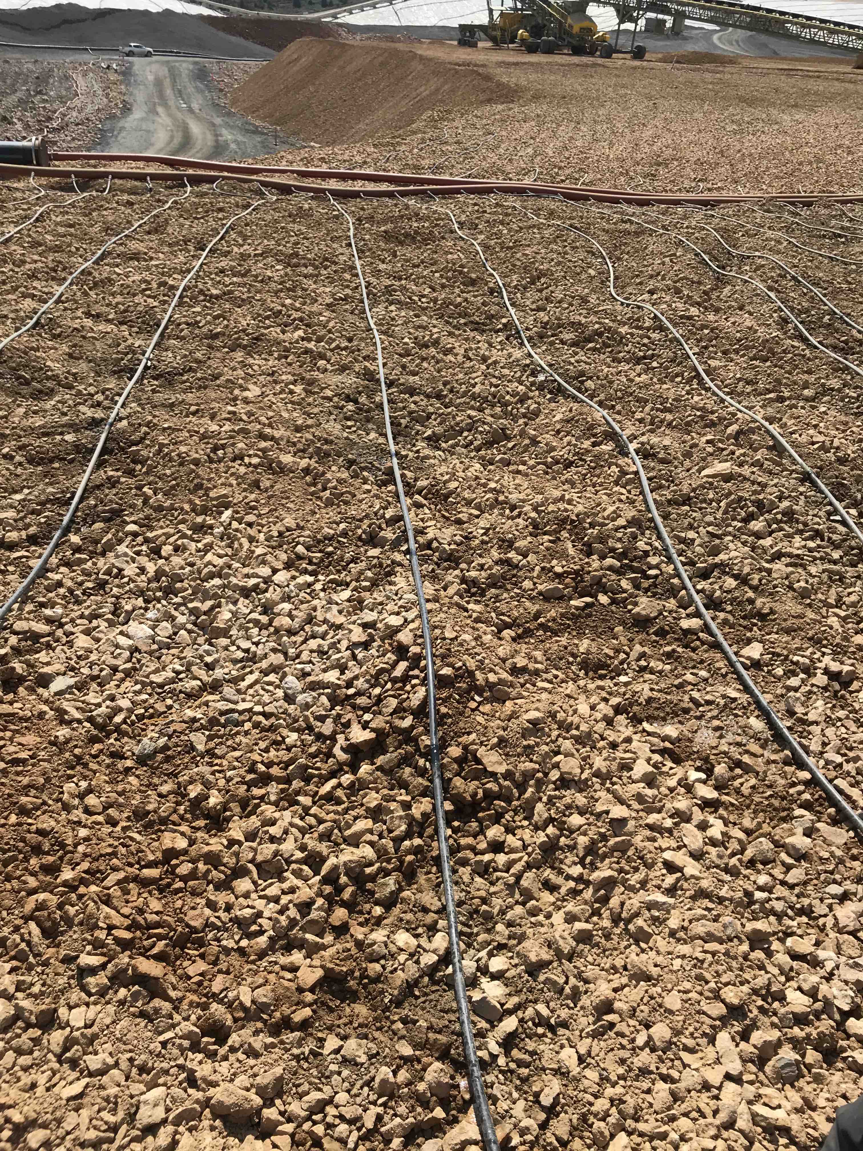 Drip lines distributing lixiviant across a heap leach pad
